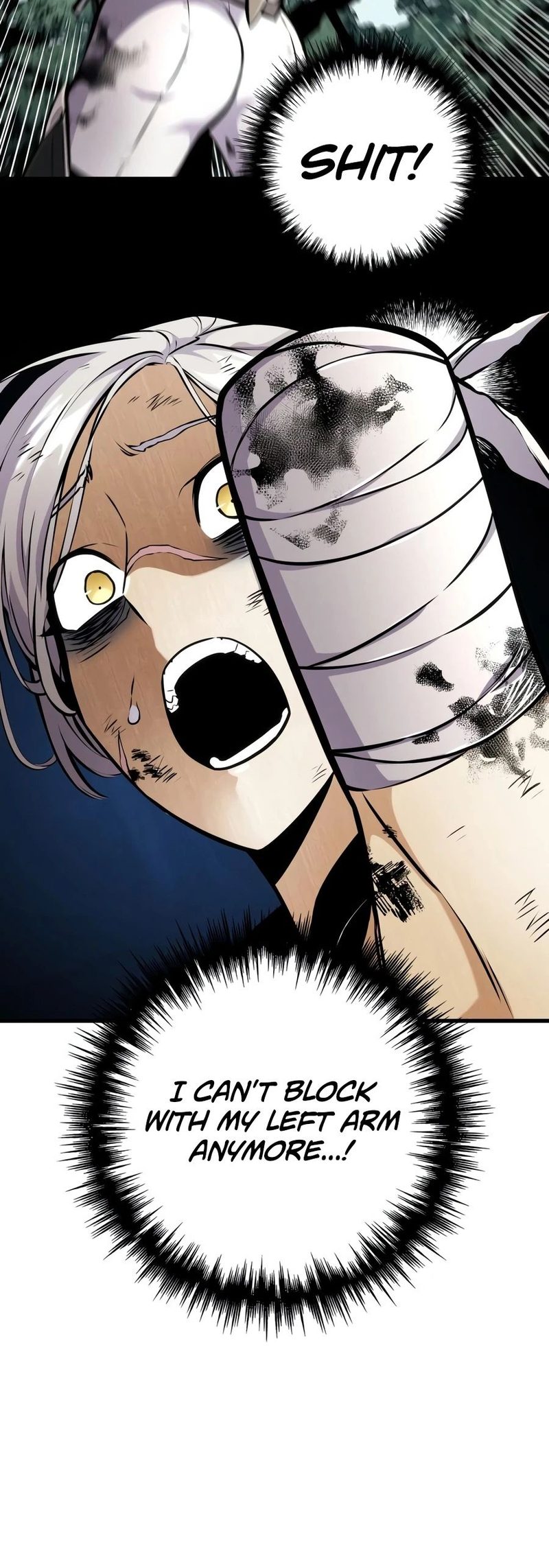 The Wandering Knight’s Survival Manual - Chapter 52 Page 14