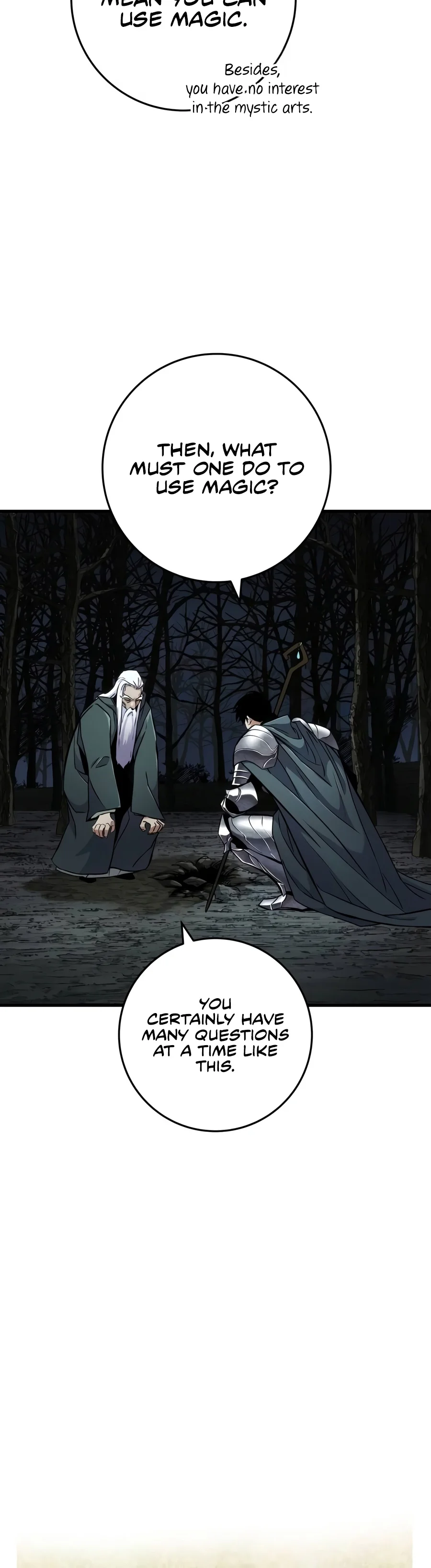 The Wandering Knight’s Survival Manual - Chapter 65 Page 12